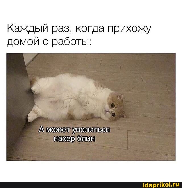 Каждый раз, когда прихожу домой с работы:
А может уволиться нахер блин