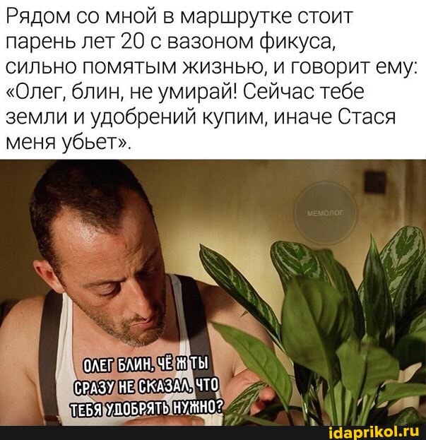 Рядом со мной в маршрутке стоит парень лет 20 с вазоном фикуса,
сильно помятым жизнью, и говорит ему:
"Олег, блин, не умирай! Сейчас тебе земли и удобрений купим, иначе Стася меня убьет".
ОЛЕГ БАИН, ТЫ
СРАЗУ НЕ СКАЗАА, ЧТО
ТЕБЯ УПОБРЯТЬ НУЖНО?