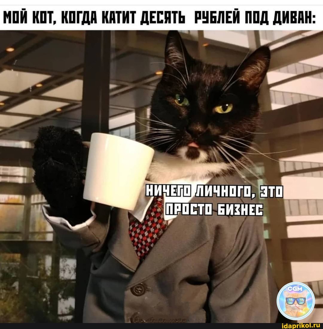 МОЙ КОТ, КОГДА КАТИТ ДЕСЯТЬ РУБЛЕЙ ПОД ДИВАН:
ПРОСТО БИЗНЕС