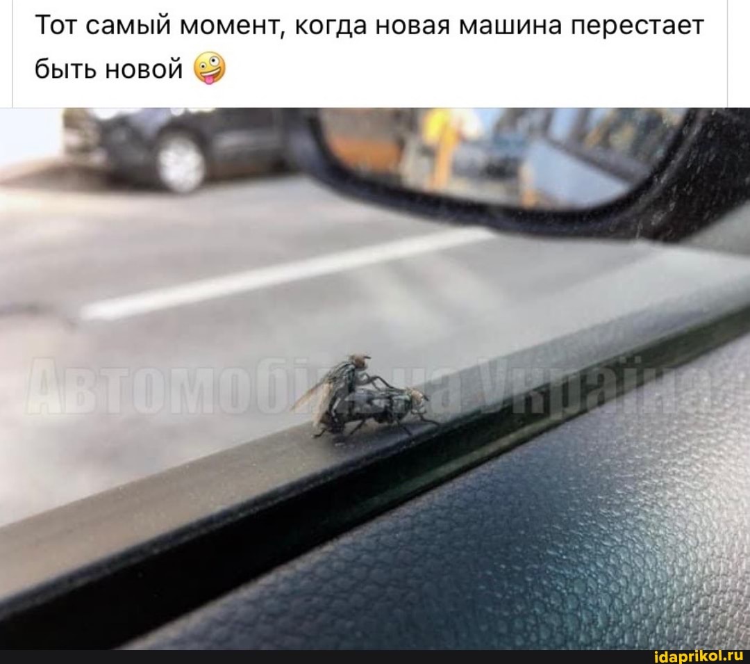 Тот самый момент, когда новая машина перестает
быть новой
