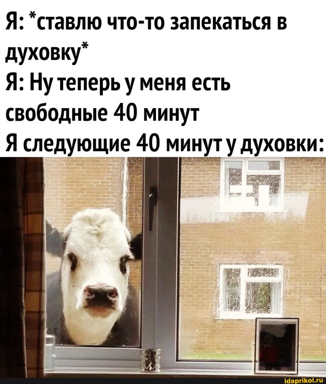 Я: *ставлю что-то запекаться в духовку"
Я: Ну теперь у меня есть свободные 40 минут
Я следующие 40 минуту духовки:
