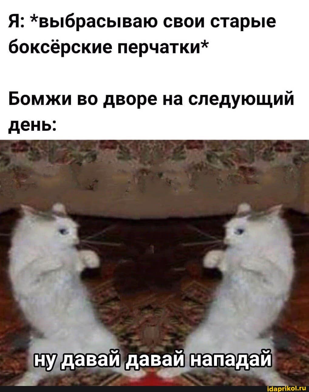 Я: *выбрасываю свои старые
боксёрские перчатки*
Бомжи во дворе на следующий
день: