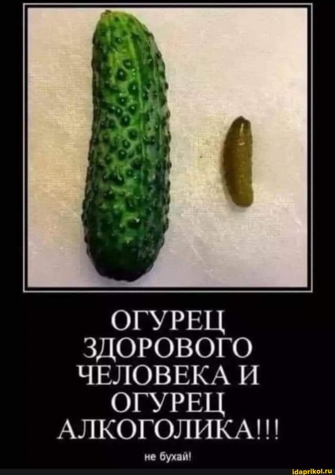 ОГУРЕЦ ЗДОРОВОГО ЧЕЛОВЕКА И ОГУРЕЦ АЛКОГОЛИКА!!
не бухай!