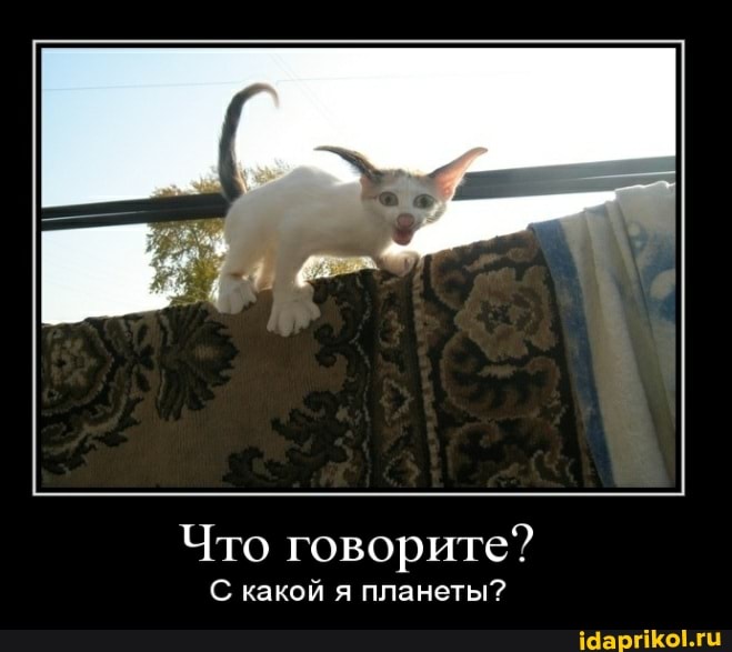 Что говорите?
С какой я планеты?