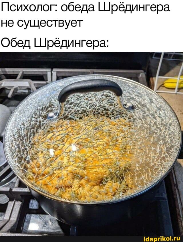 Психолог: обеда Шрёдингера не существует
Обед Шрёдингера: