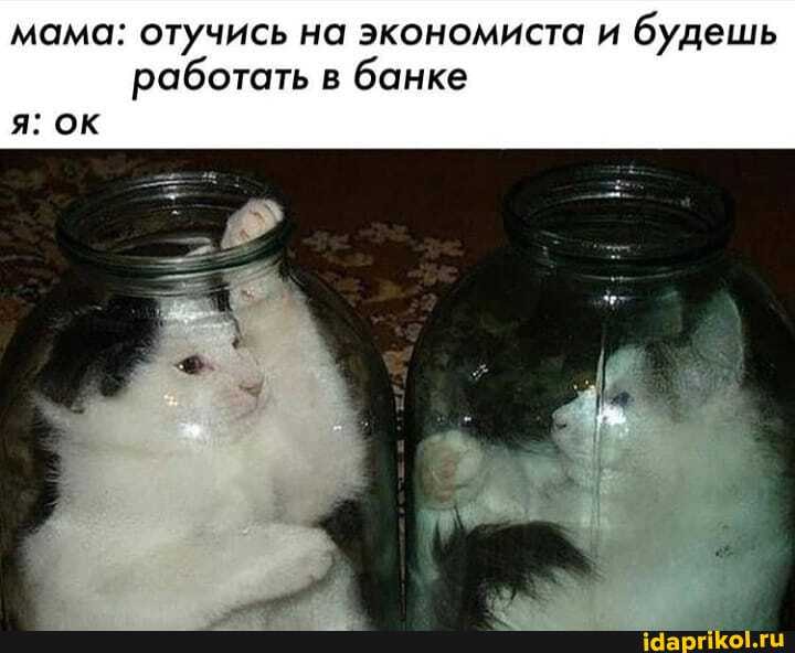 мама: отучись на экономиста и
будешь
работать в
банке