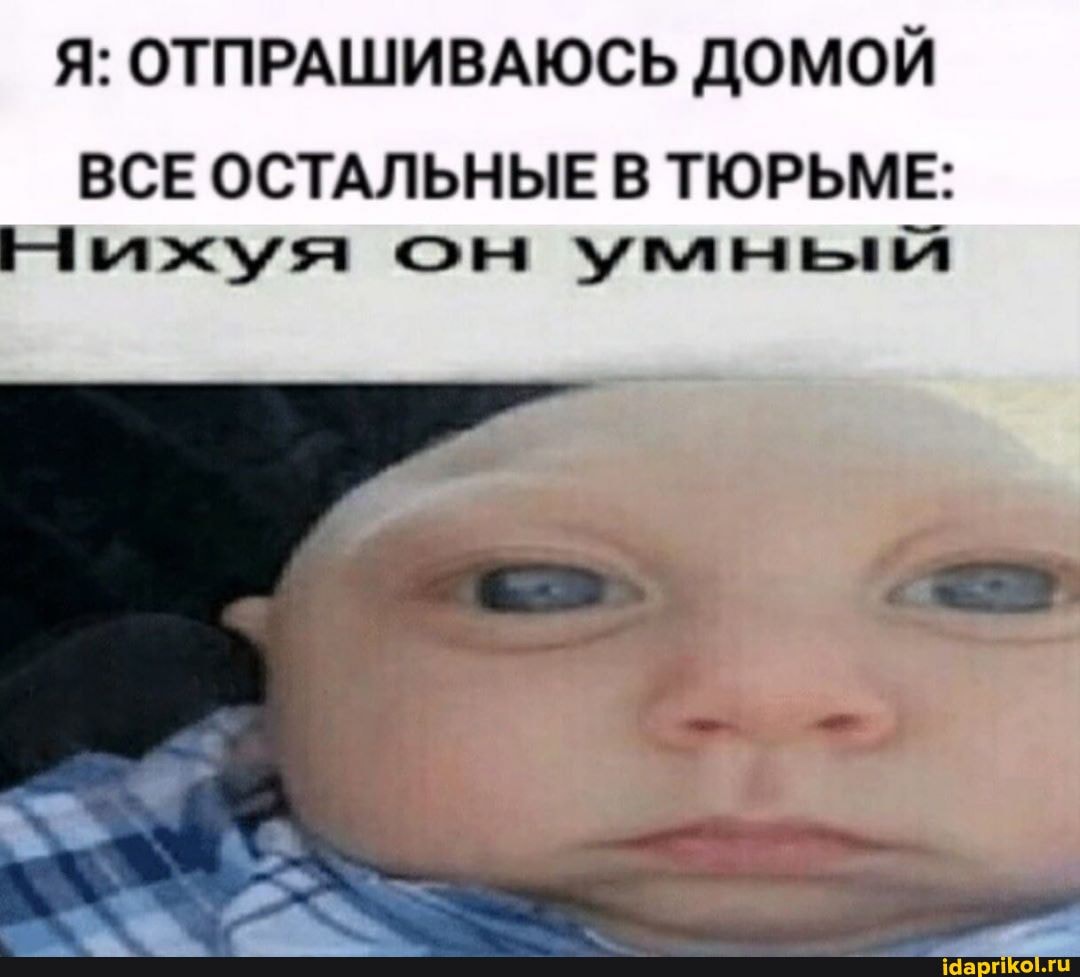 Я: ОТПРАШИВАЮСЬ ДОМОЙ
ВСЕ ОСТАЛЬНЫЕ В ТЮРЬМЕ:
Ниыхуя он умный