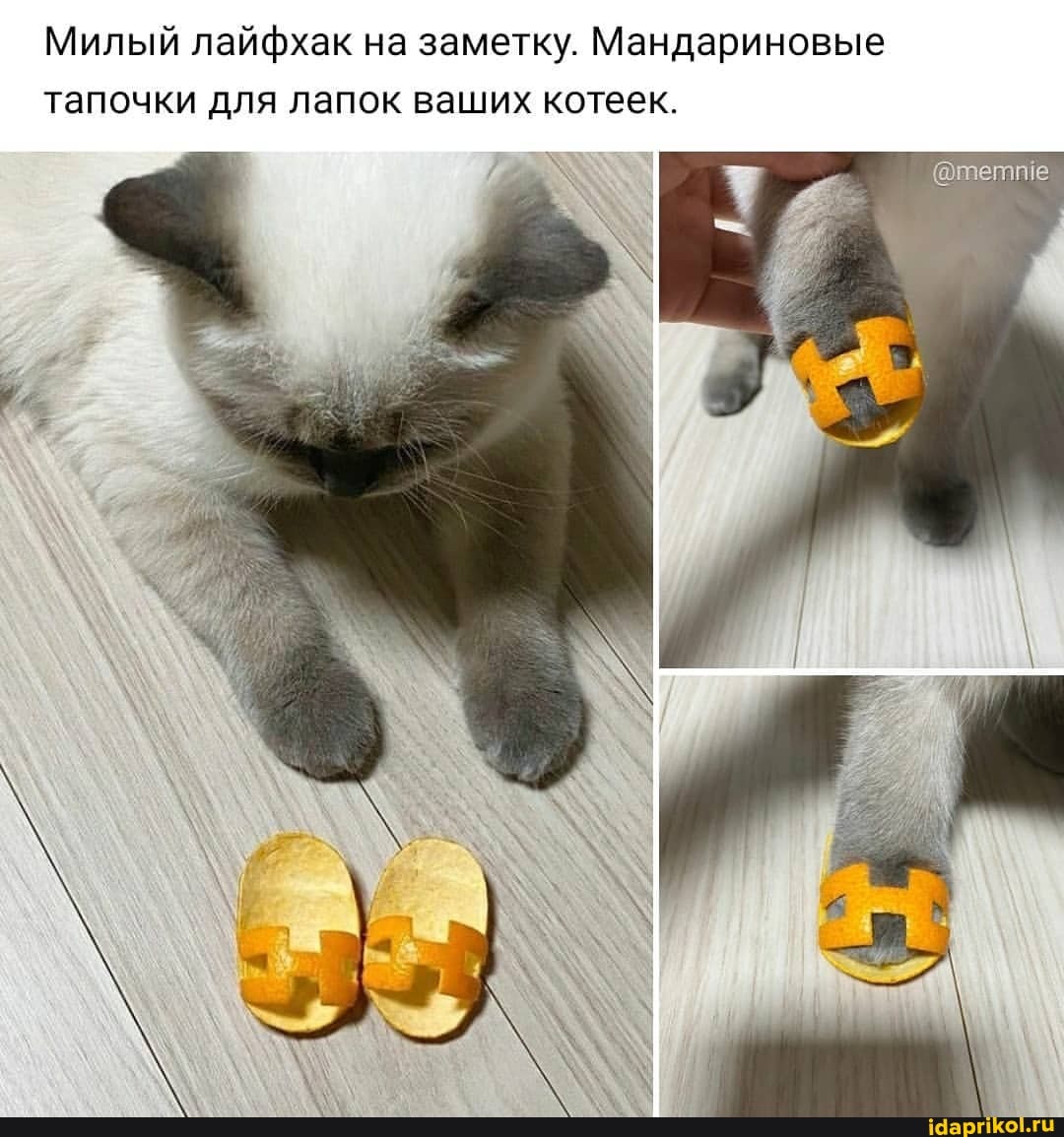 Милый лайфхак на заметку. Мандариновые тапочки для лапок ваших котеек.