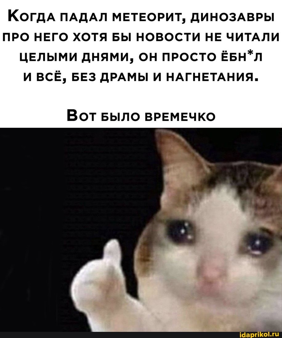 Когда ПАДАЛ МЕТЕОРИТ, ДИНОЗАВРЫ ПРО НЕГО ХОТЯ БЫ НОВОСТИ НЕ ЧИТАЛИ ЦЕЛЫМИ ДНЯМИ, ОН ПРОСТО ЁБН*Л И ВСЁ, БЕЗ ДРАМЫ И НАГНЕТАНИЯ.
Вот БЫЛО ВРЕМЕЧКО