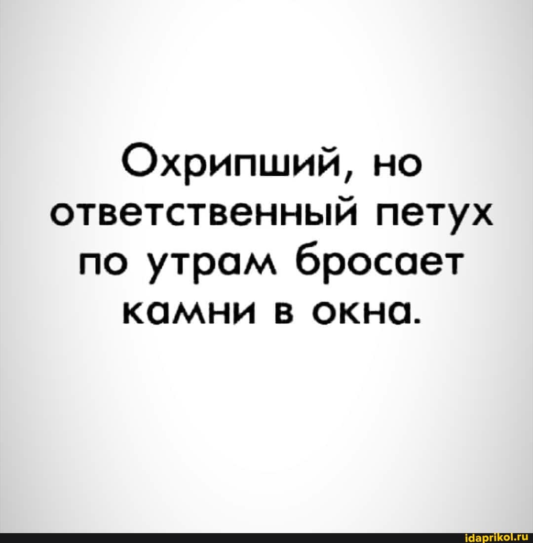 Охрипший, но ответственный петух по утрам бросает камни в окна.