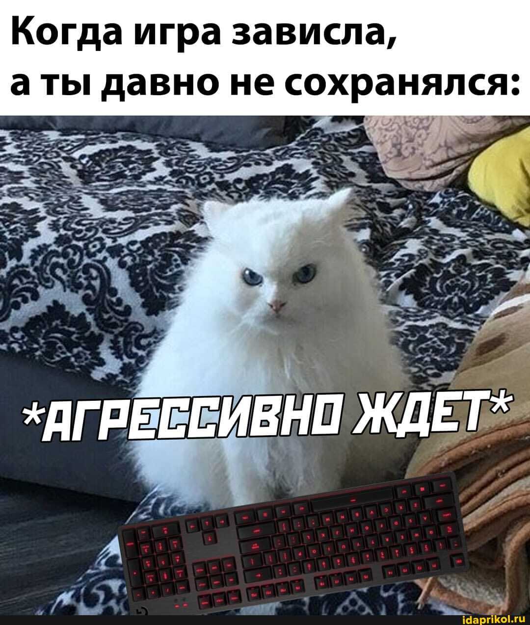Когда игра зависла,
аты давно не сохранялся.
*АГРЕССИВНО ЖДЕТ"