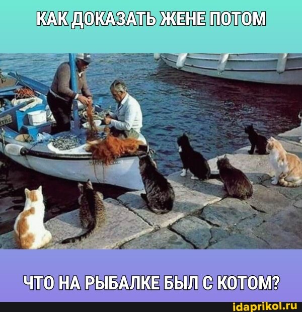 КАК ДОКАЗАТЬ ЖЕНЕ ПОТОМ
ЧТО НА РЫБАЛКЕ БЫЛ С КОТОМ?