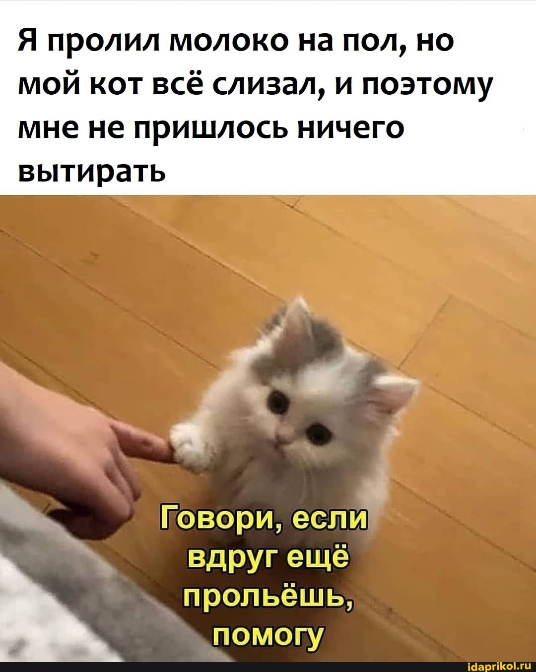 Я пролил молоко на пол, но мой кот всё слизал, и поэтому
мне не пришлось ничего вытирать
Говори, если
вдруг еще прольешь, помогу