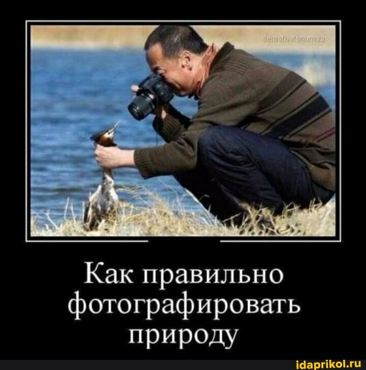 Как правильно фотографировать природу