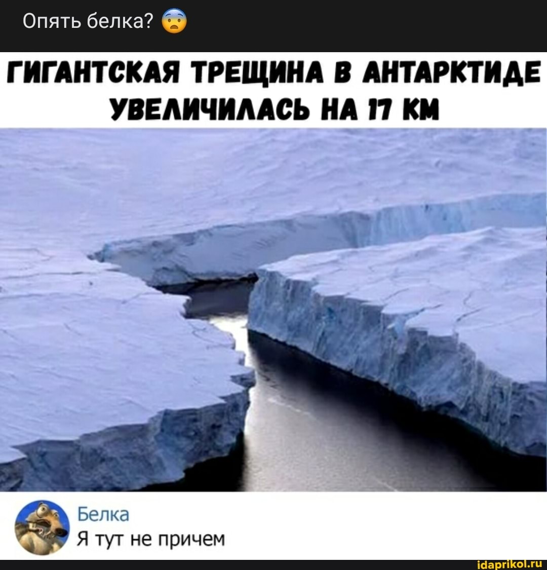 Опять белка?
ГИГАНТСКАЯ ТРЕЩИНА В АНТАРКТИДЕ УВЕЛИЧИЛАСЬ НА 17 КМ
Белка
Я тут не причем