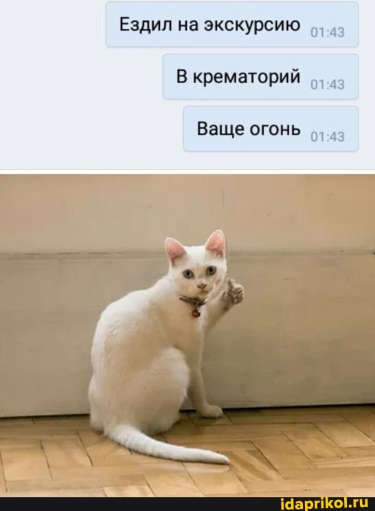 Ездил на экскурсию
В крематорий
Ваще огонь