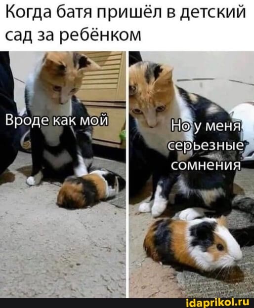 Когда батя пришёл в детский сад за ребёнком
Но
меня
Вродекак мой