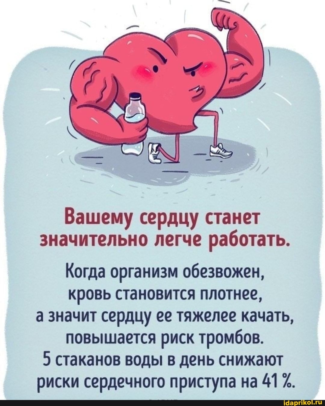Вашему сердцу станет значительно легче работать.
Когда организм обезвожен, кровь становится плотнее, а значит сердцу ее тяжелее качать, повышается риск тромбов.
5 стаканов воды в день снижают риски сердечного приступа на 41