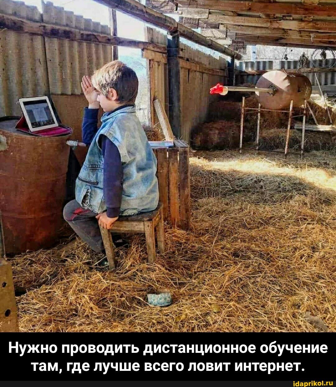Нужно проводить дистанционное обучение там, где лучше всего ловит интернет. - Нужно проводить дистанционное обучение там, где лучше всего ловит интернет.
