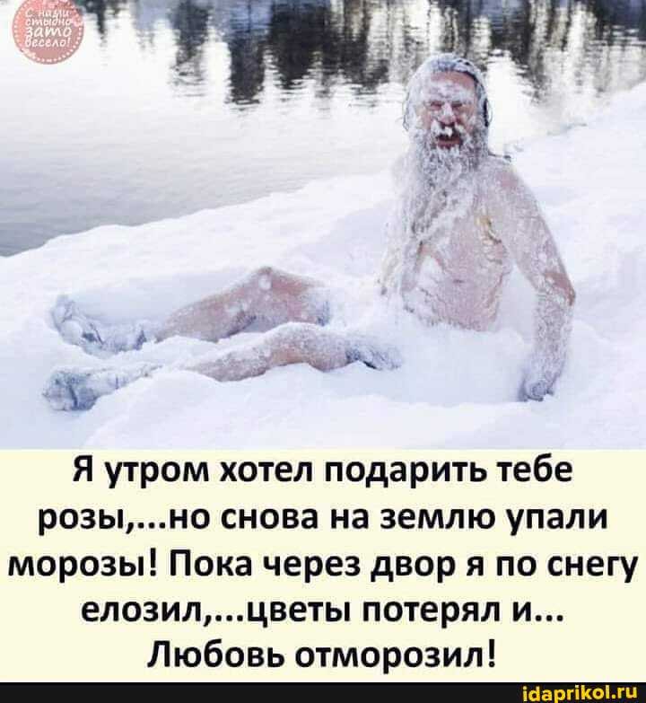 Я утром хотел подарить тебе розы,...но снова на землю упали морозы! Пока через двор я по снегу елозил,...цветы потерял и...
Любовь отморозил!