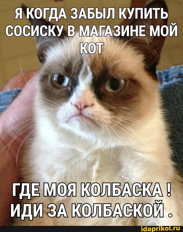 Я КОГДА ЗАБЫЛ КУПИТЬ СОСИСКУ В МАГАЗИНЕ МОЙ Кот
% I
ГДЕ МОЯ КОЛБАСКА !
ИДИ ЗА КОЛБАСКОЙ.,