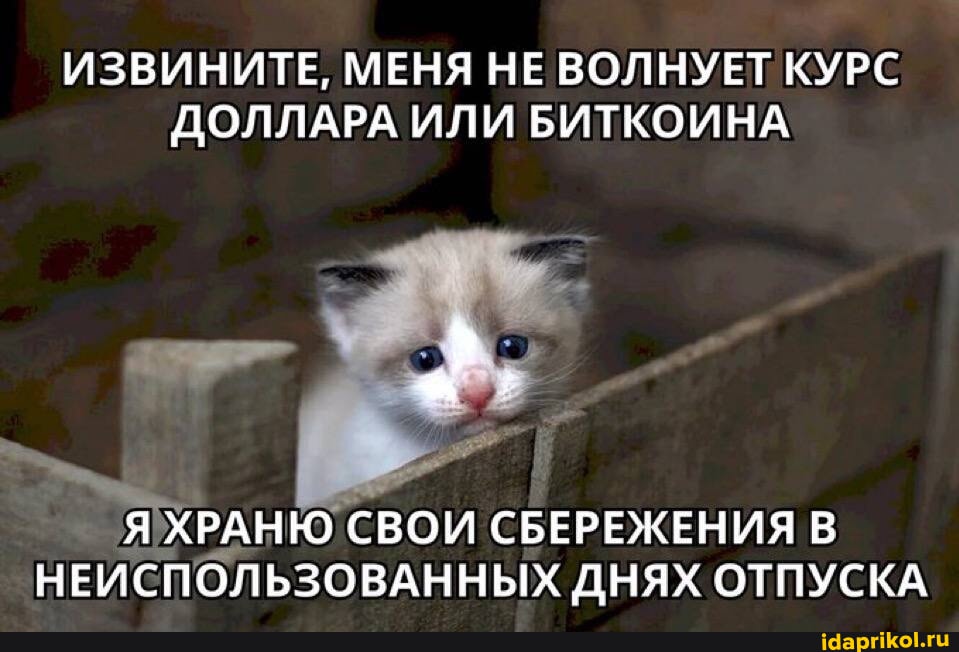 Nokia 206 үшін порно