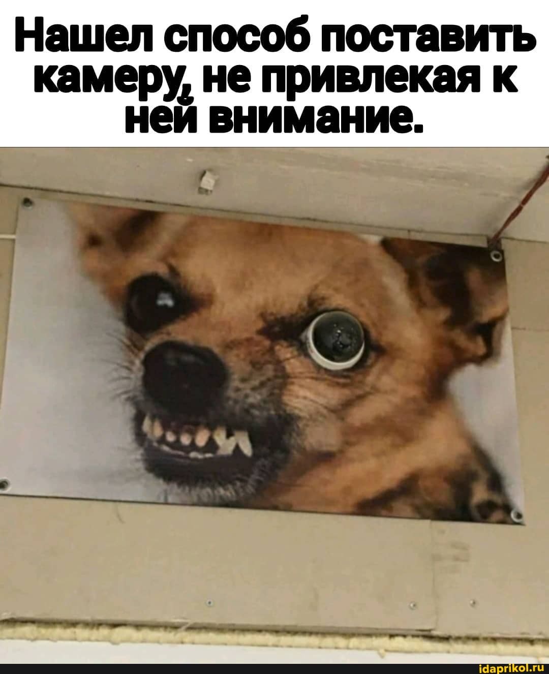 Нашел способ поставить камеру, не привлекая к ней внимание.