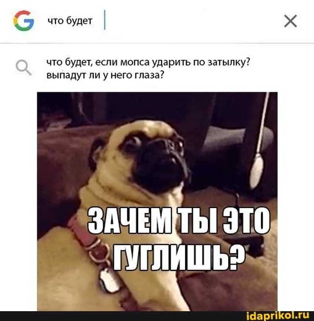 будет
что будет, если мопса ударить по затылку? выпадут ли у него глаза?
ЗАЧЕМТЫ ЭТО