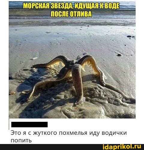 Это я с жуткого похмелья иду водички