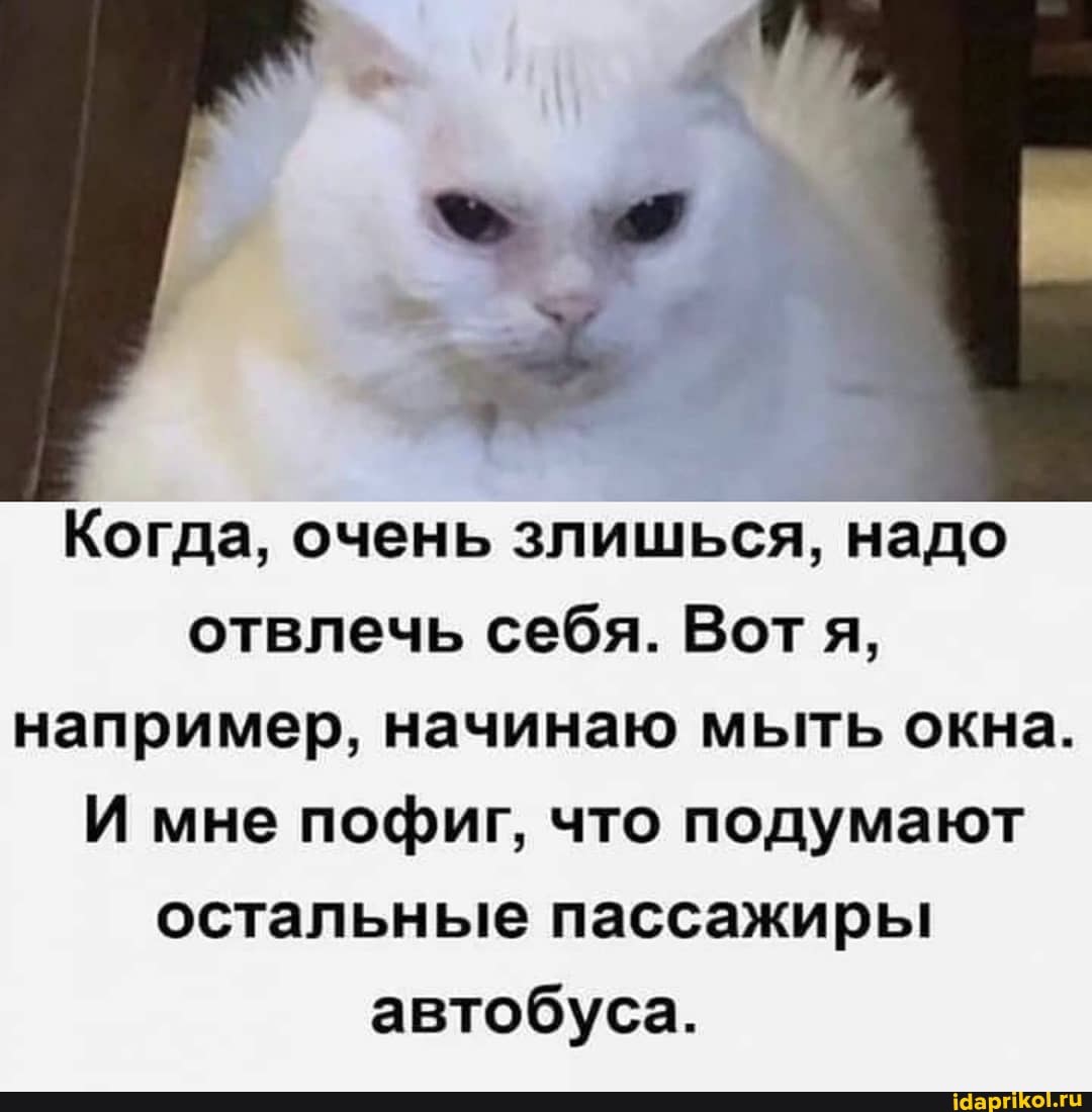Когда, очень злишься, надо отвлечь себя. Вот я, например, начинаю мыть окна.
И мне пофиг, что подумают остальные пассажиры автобуса.