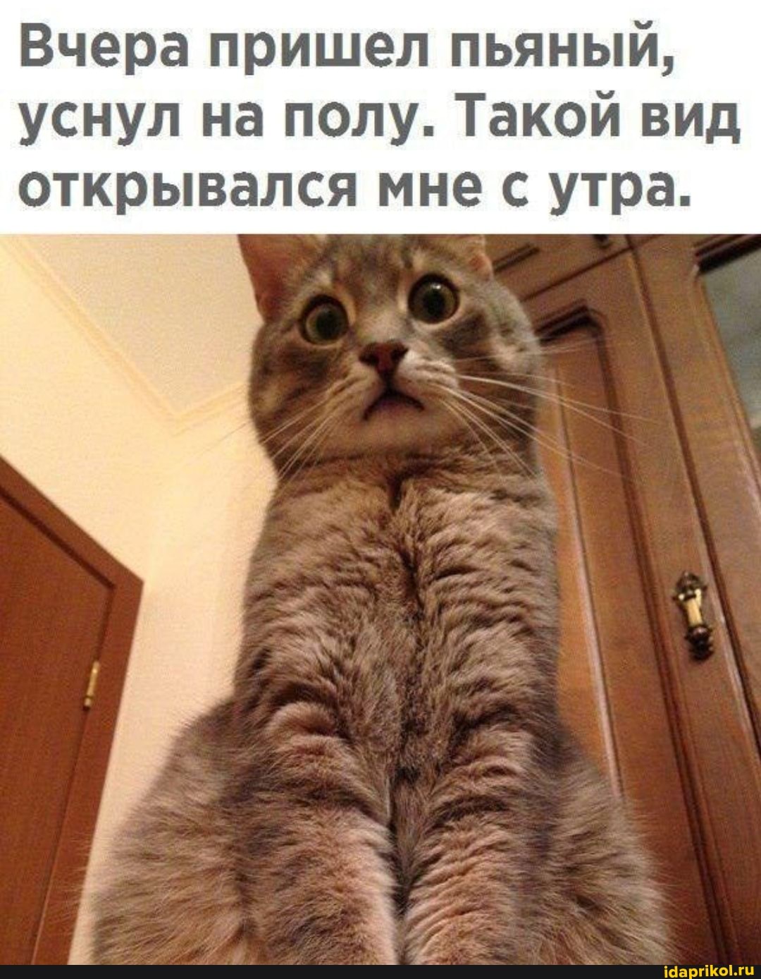 Вчера пришел пьяный, уснул на полу. Такой вид открывался мне с утра.