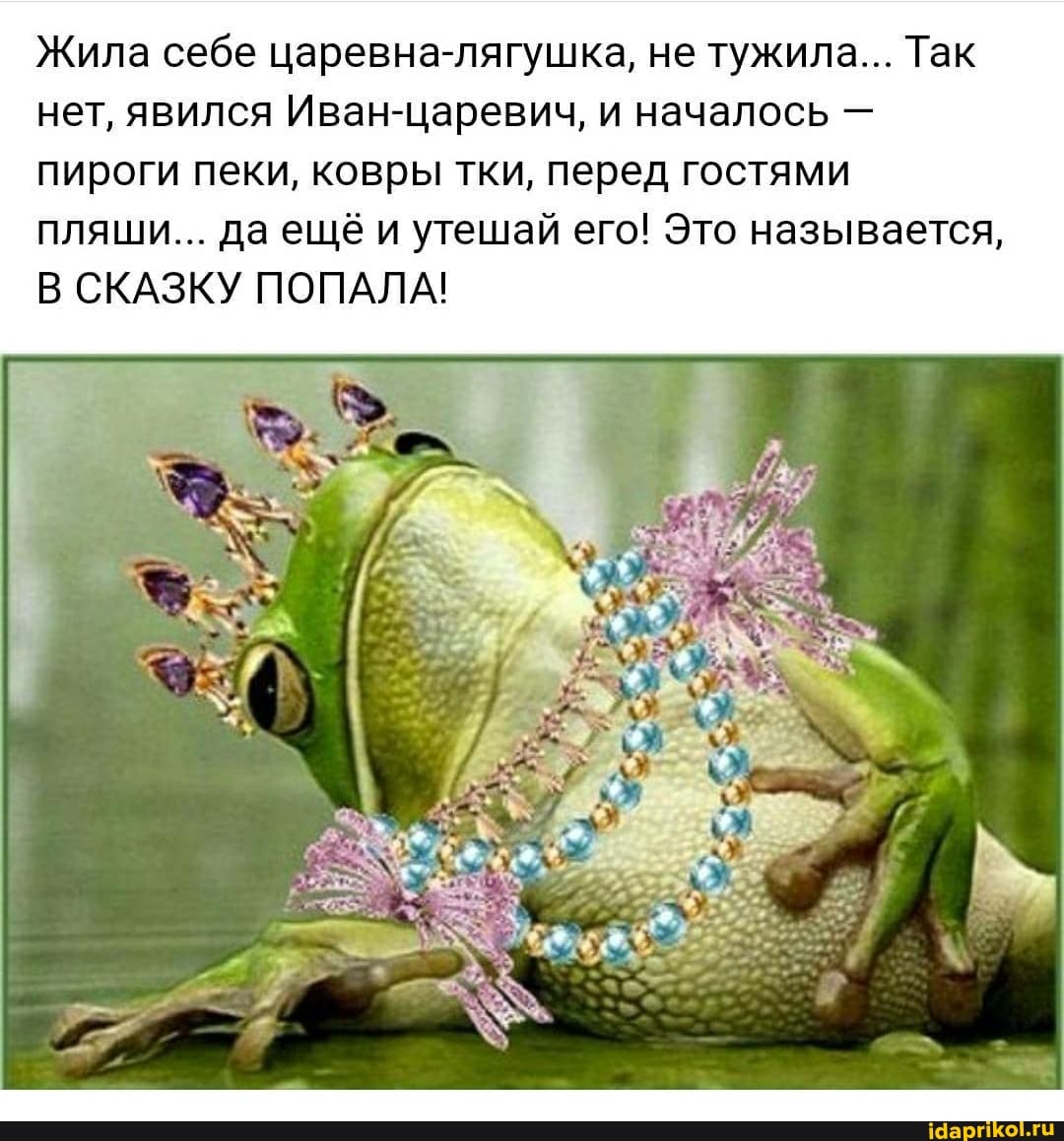 Жила себе царевна-лягушка, не тужила... Так нет, явился Иван-царевич, и началось пироги пеки, ковры тки, перед гостями
ПЛЯШИ... Да ещё и утешай его! Это называется,
СКАЗКУ ПОПАЛА!