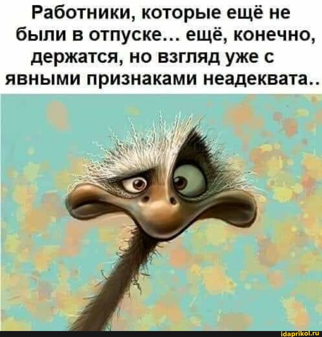 Работники, которые ещё не были в отпуске... ещё, конечно, держатся, но взгляд уже с явными признаками неадеквата..
