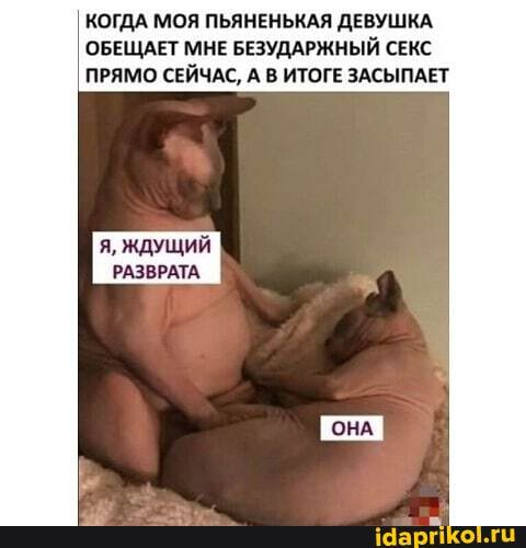 КОГДА МОЯ ПЬЯНЕНЬКАЯ ДЕВУШКА.
ОБЕЩАЕТ МНЕ БЕЗУДАРЖНЫЙ СЕКС ПРЯМО СЕЙЧАС, А В ИТОГЕ ЗАСЫПАЕТ
Я, ЖДУЩИЙ РАЗВРАТА.