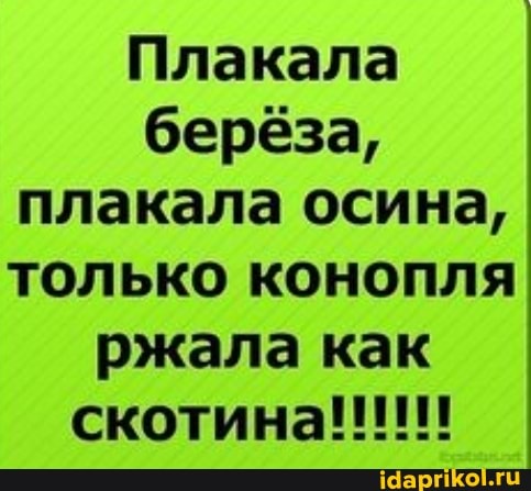 Плакала берёза, плакала осина, только конопля ржала как
