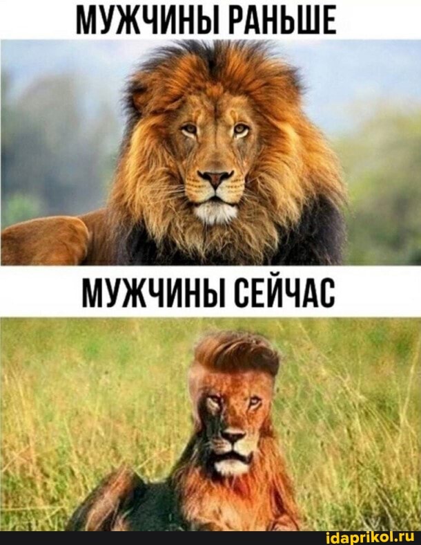 МУЖЧИНЫ РАНЬШЕ
МУЖЧИНЫ СЕЙЧАС