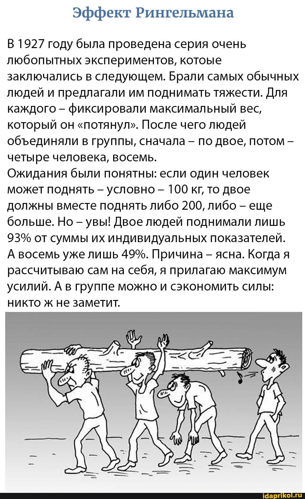 Эффект Рингельмана
В 1927 году была проведена серия очень любопытных экспериментов, котоые заключались в следующем. Брали самых обычных людей и предлагали им поднимать тяжести. Для каждого фиксировали максимальный вес, который он "потянул". После чего людей обединяли в группы, сначала - по двое, потом четыре человека, восемь.
Ожидания были понятны: если один человек может поднять - условно - 100 кг, то двое должны вместе поднять либо 200, либо еще больше. Но - увы! Двое людей поднимали лишь
93% от суммы их индивидуальных показателей.
А восемь уже лишь 49%. Причина - ясна. Когда я рассчитываю сам на себя, я прилагаю максимум усилий. А в группе можно и сэкономить силы: никто ж не заметит.
