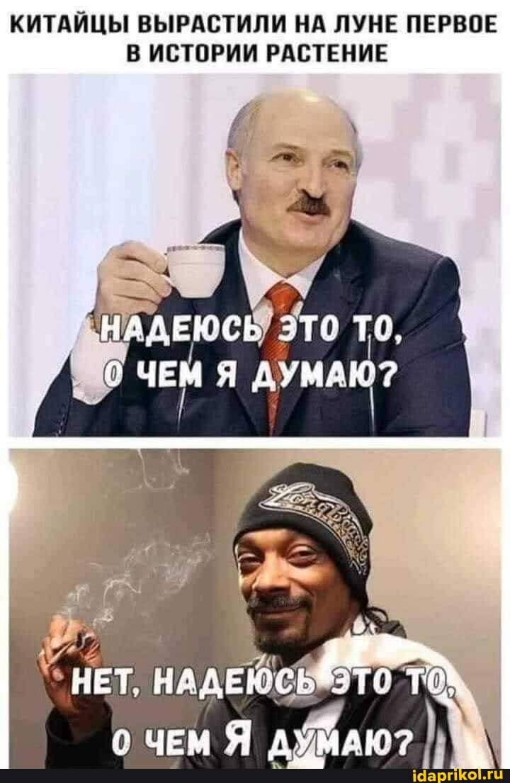 КИТАЙЦЫ ВЫРАСТИЛИ НА ЛУНЕ ПЕРВОЕ В ИСТОРИИ РАСТЕНИЕ
НАДЕЮСЕУ ЭТО ТО,
ЧЕМ ДУМАЮ?
НЕТ,
ЧЕМ