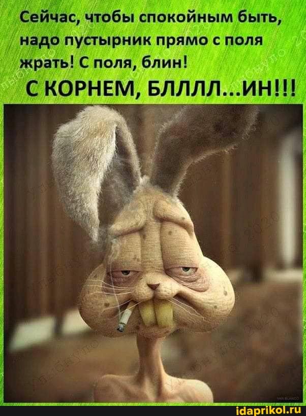 Сейчас, чтобы спокойным быть, надо пустырник прямо с поля жрать! С поля, блин!
'С КОРНЕМ, БЛЛЛЛ...ИНИ!