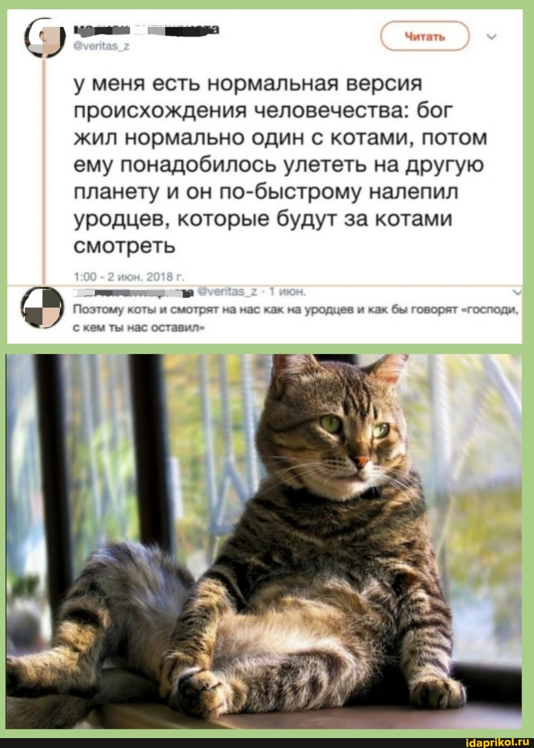 у меня есть нормальная версия происхождения человечества: бог жил нормально один с котами, потом ему понадобилось улететь на другую планету и он по-быстрому налепил уродцев, которые будут за котами смотреть
Поэтому коты и смотрят на нас как на уродцев и как бы говорят "господи
с кем ты нас оставил"