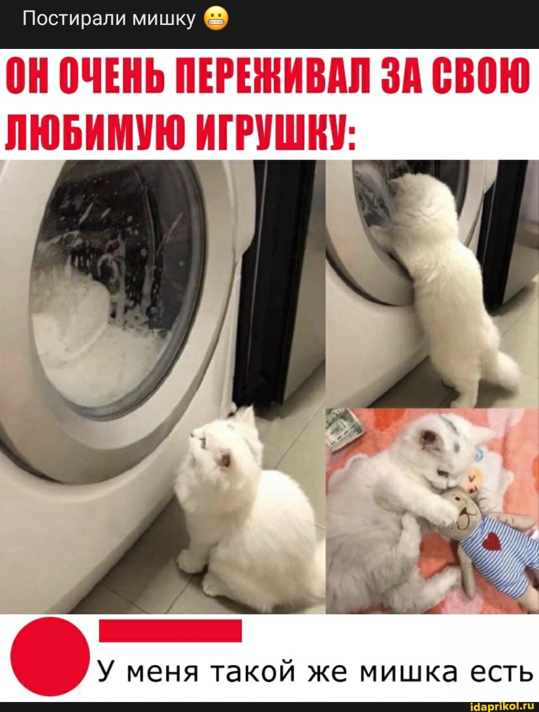 Постирали мишку
ОН ОЧЕНЬ ПЕРЕЖИВАЛ ЗА СВОЮ ЛЮБИМУЮ ИГРУШКУ:
меня такой же мишка есть