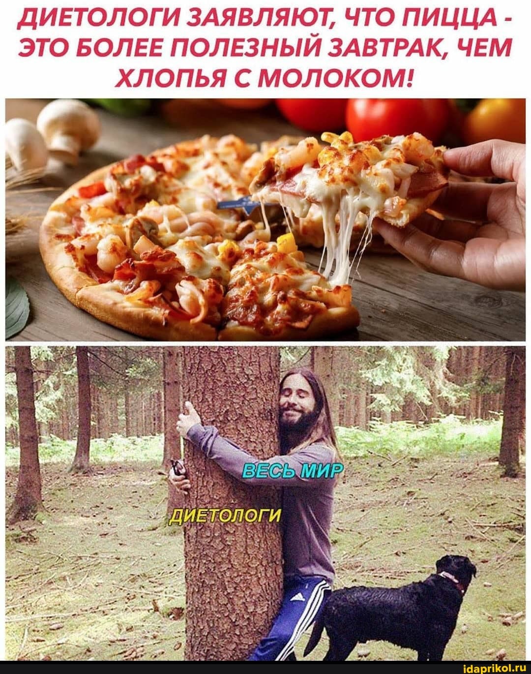 ДИЕТОЛОГИ ЗАЯВЛЯЮТ, ЧТО ПИЦЦА -
ЭТО БОЛЕЕ ПОЛЕЗНЫЙ ЗАВТРАК, ЧЕМ
ХЛОПЬЯ МОЛОКОМ!