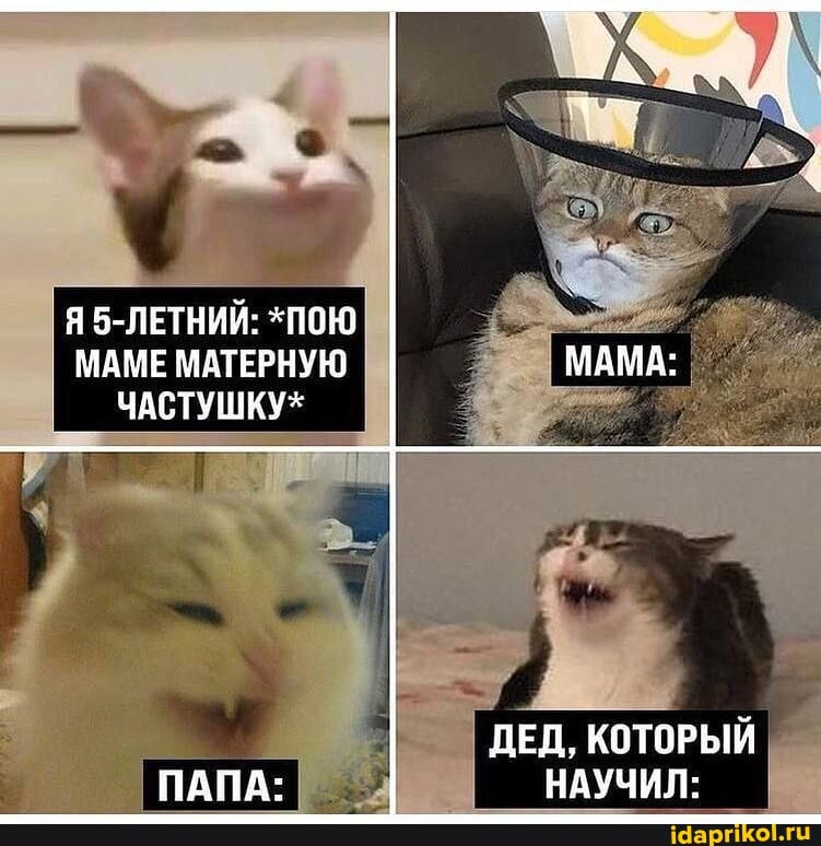 IЯ5-ЛЕТНИЙ: *ПОЮ МАМЕ МАТЕРНУЮ ЧАСТУШКУ*
ПАПА-
МАМА:
ДЕД, КОТОРЫЙ НАУЧИЛ: