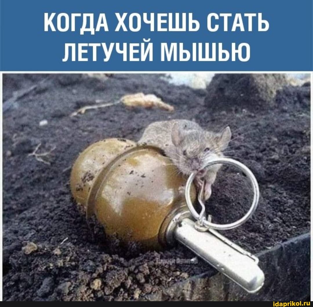 КОГДА ХОЧЕШЬ СТАТЬ ЛЕТУЧЕЙ МЫШЬЮ