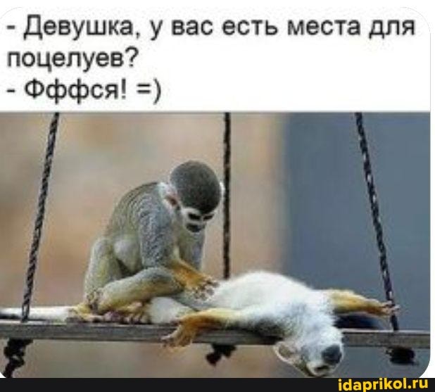 Девушка, у вас есть места для
поцелуев?
- Фффся!
