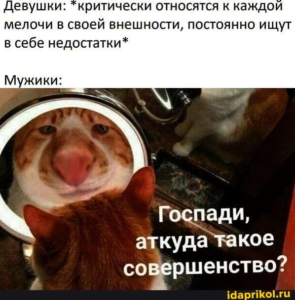 Девушки: "критически относятся к каждой
мелочи в своей внешности, постоянно ищут
в себе недостатки*
Мужики: