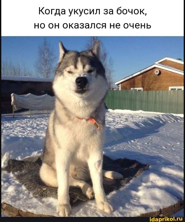 Когда укусил за бочок, но он оказался не очень