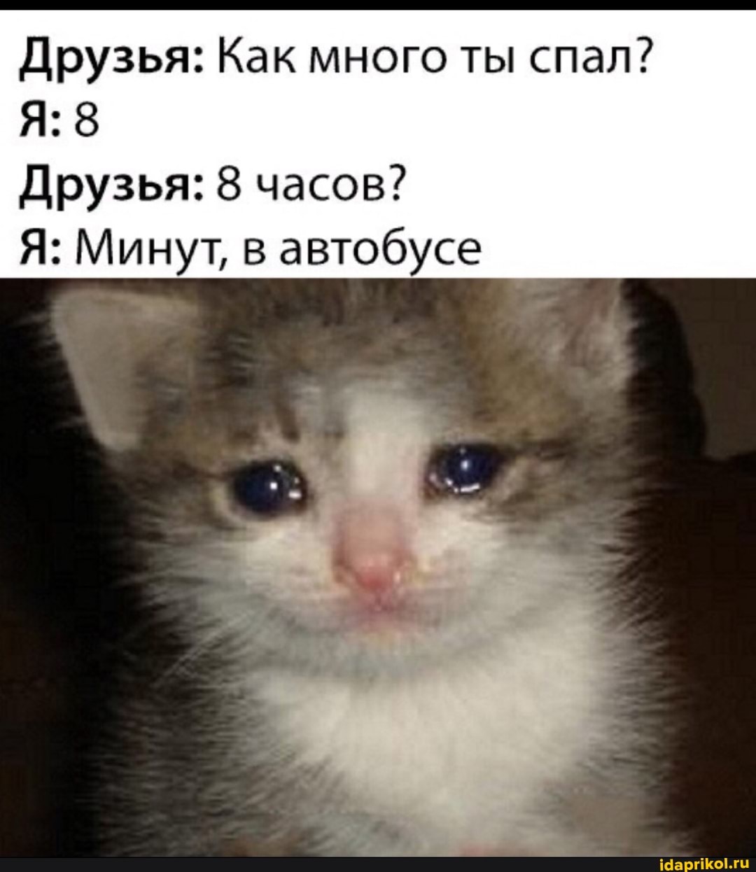Друзья: Как много ты спал?
Я: 8
Друзья: 8 часов?
Я: Минут, в автобусе