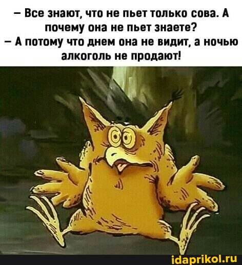 Все знают, что не пьет только сова. А почему она не пьет знаете?
-А потому что днем она не видит, а ночью
алкоголь не продают!