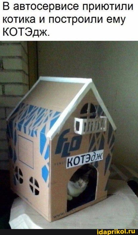В автосервисе приютили котика и построили ему
КОТЭдж.